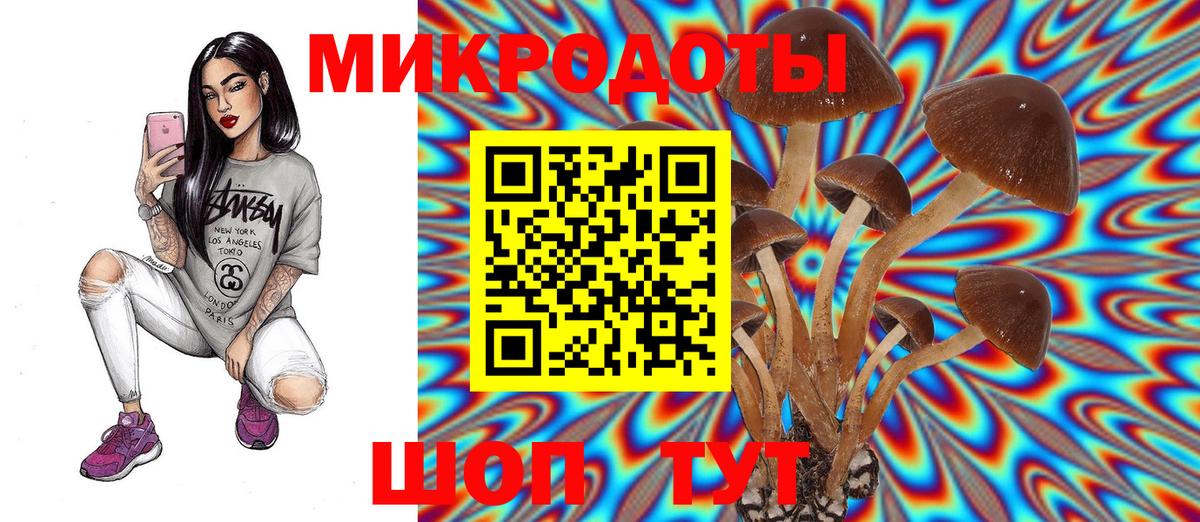 Псилоцибиновые грибы прущие грибы  Галлюциногенные грибы Psilocybe  Мытищи  где купить наркотик  Вход с VPN 